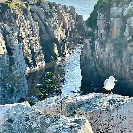 As Estrelas Hebergements Au Calme , Confort Climatises Proches Centre Plages Et Spots De Surf Parking Free Ferienhaus