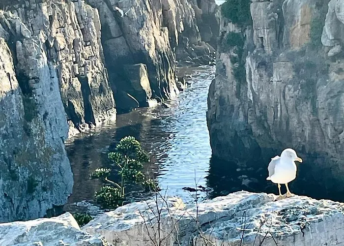 As Estrelas Proches Centre Et Petite Trois établissements Indépendants Climatisés Et De Confort Casa vacanze